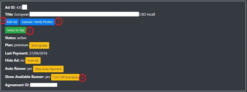Updates and Great New Features at Naughty Ads