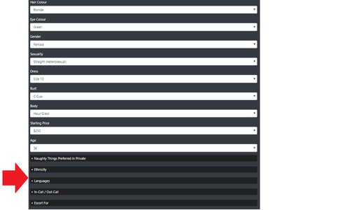Updates and Great New Features at Naughty Ads